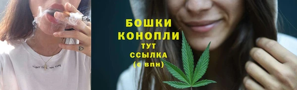 apvp Магадан